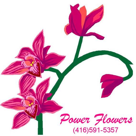 Power Flowers logo